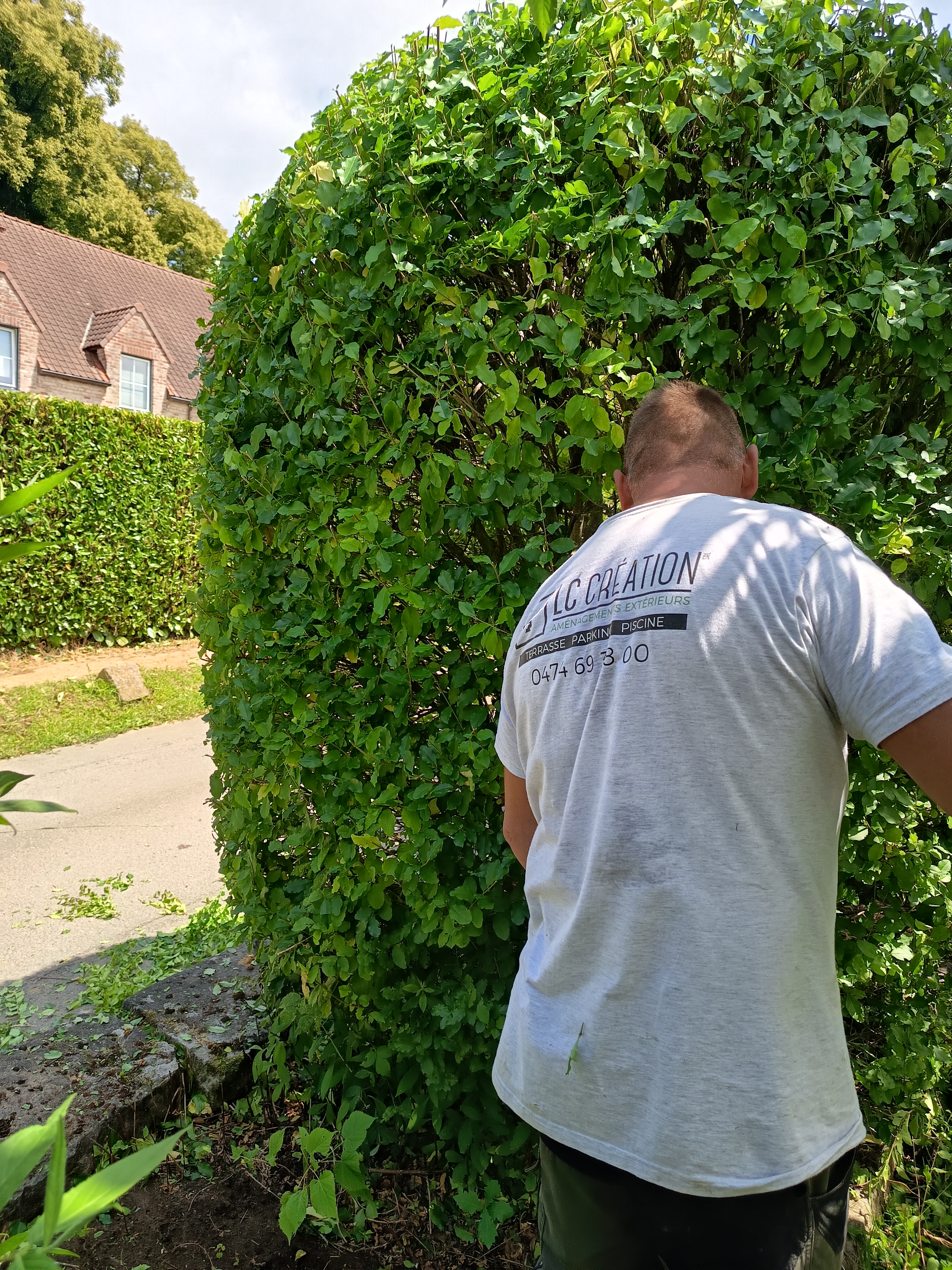 Entretien de jardin LC Création