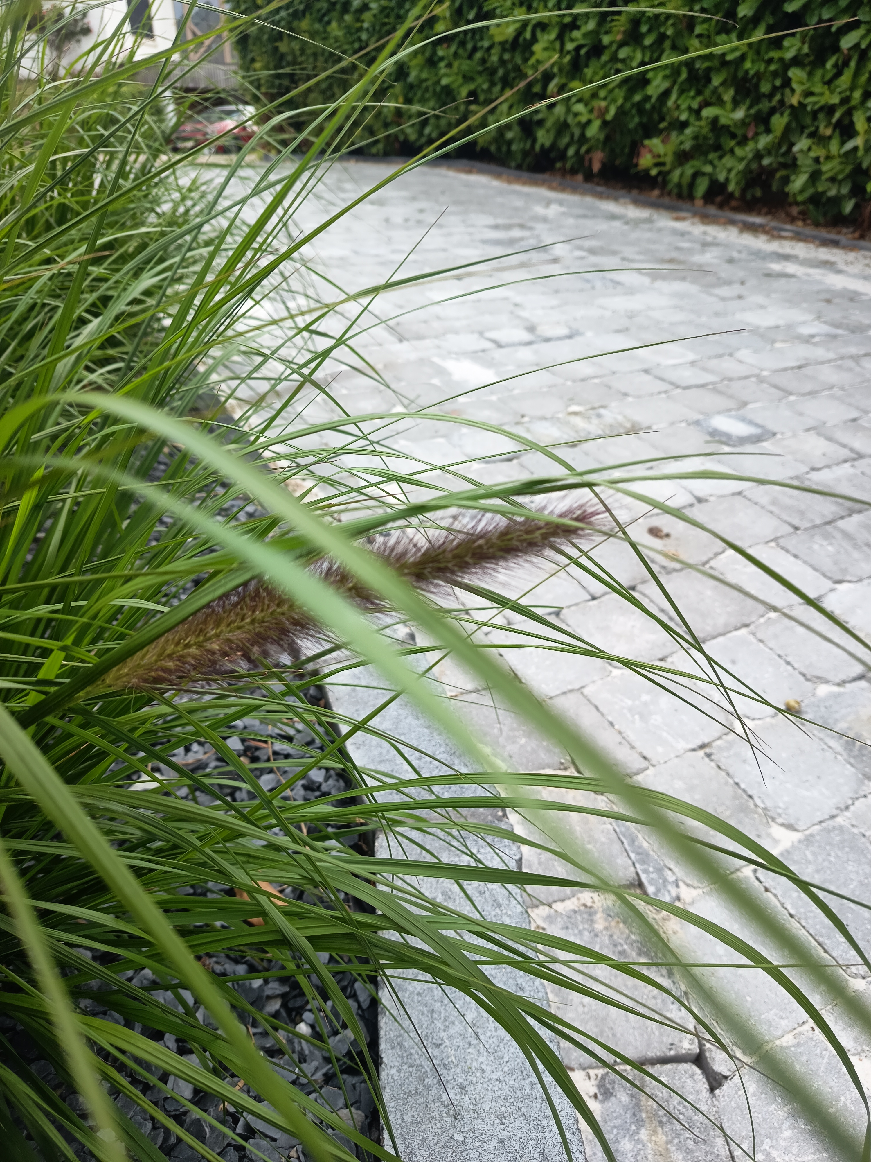 Aménagement paysager LC Création